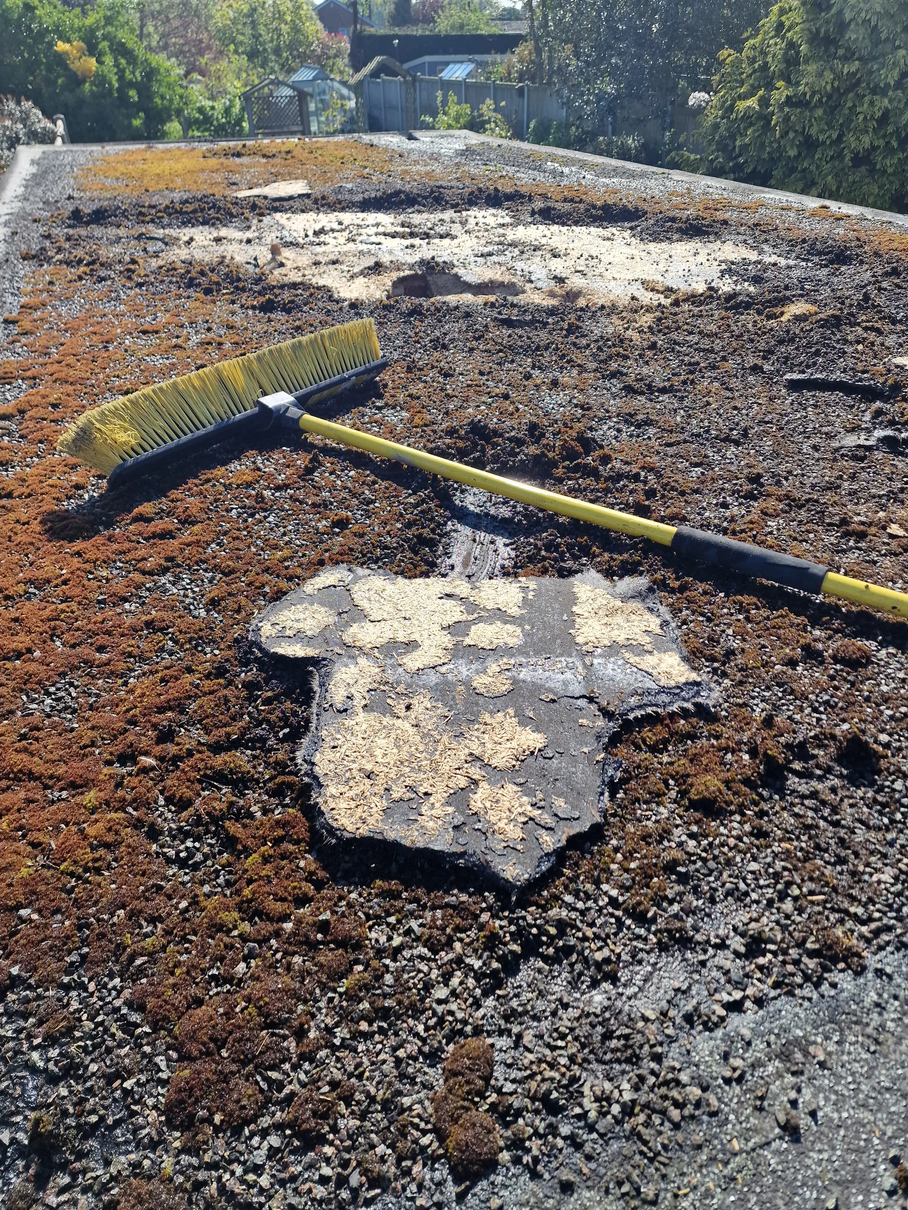 Recent Project Transformation