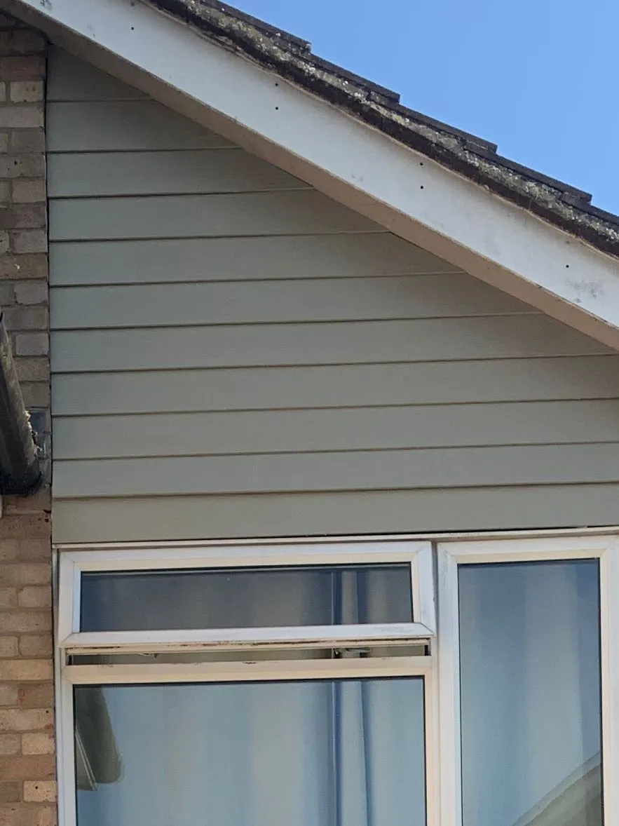 Recent Project Transformation